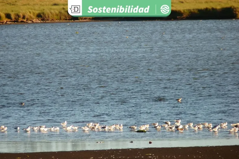 22977 diseno sin titulo 2025 09 23t123720.webp