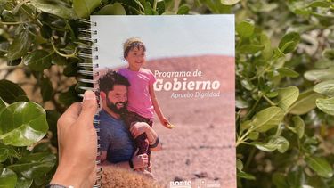 El Desconcierto | Programa de Boric.jpg
