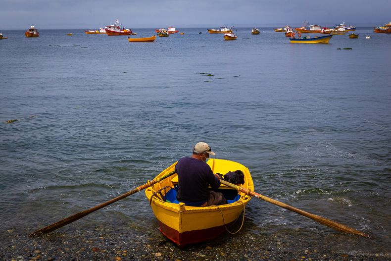 Imagen referencial sobre pesca artesanal - Agencia Uno
