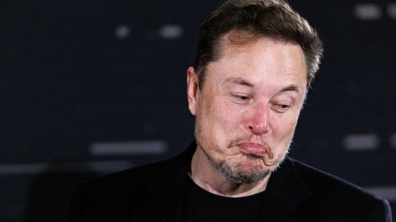 6296 musk.jpg
