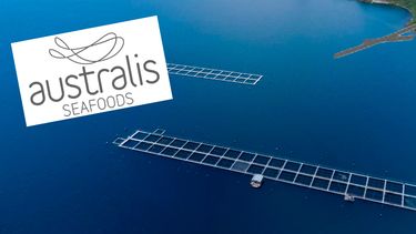 sma rechaza plan de australis por sobreproduccion en reserva kawesqar y salmonera recurre al tribunal ambiental