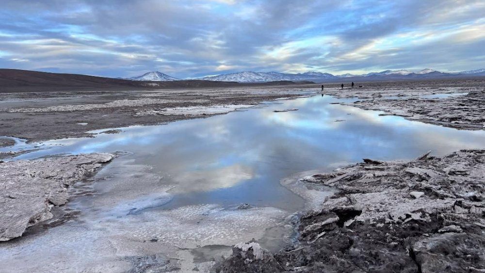 Los salares altoandinos de Atacama que el gobierno de Kast dejó sin protección: Qué contienen y por qué importa Los salares altoandinos de Atacama que el gobierno de Kast dejó sin protección: Qué contienen y por qué importa