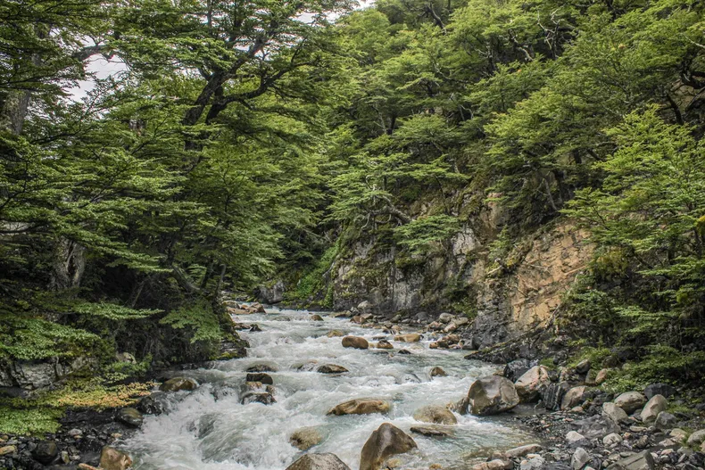 27210 a uno 1701143.webp