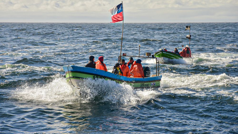Imagen referencial sobre pesca artesanal - Agencia Uno