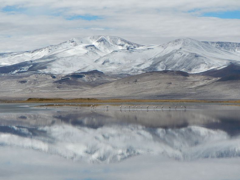 Salar_del_Huasco_Region_de_Tarapaca.jpg