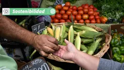 De pagar $600 mil pesos a solo 300: La primera feria libre chilena que se alimenta de energía solar es de Viña del Mar