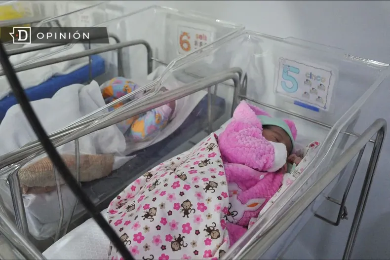 17802 una fila de recien nacidos en cunas en un hospital.webp