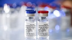 OMS alerta acerca de la gran desigualdad existente en la distribución de vacunas anti coronavirus