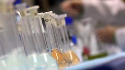 Expertos anuncian primer anticuerpo que inhibe el Coronavirus