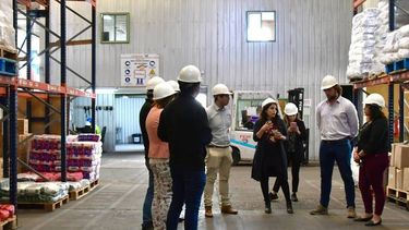 Junaeb inicia entrega de alimentos en 12 mil establecimientos de todo Chile