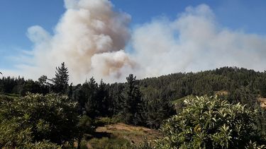 Alcalde de Cochrane apunta a las forestales por propagación de incendios: Exigimos un plan de manejo de las plantaciones