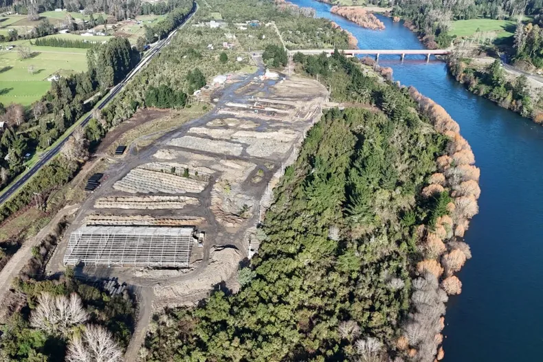 19545 salmonera san pedro.webp