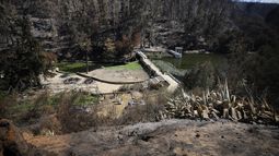 El millonario plan del gobierno para recuperar Jardín Botánico y Reserva Lago Peñuelas