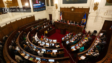 El Desconcierto | Consejo Constituyente.png