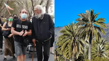 Gastón Soublette une a vecinos de Limache y gana juicio contra edificio en hogar clave de la palma chilena
