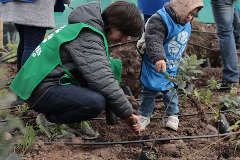Desde la reforestación en Chiloé hasta la desalinización solar en el norte, comunidades escolares transforman sus colegios en espacios sustentables.