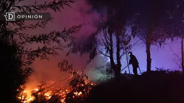 El Desconcierto | 30421 imagen de un incendio forestal en un bosque del sur.webp