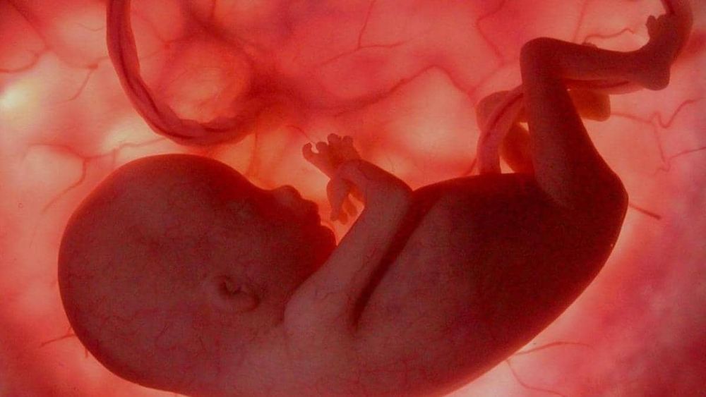 Bebés tienen aire contaminado en pulmones y cerebro antes de respirar por primera vez