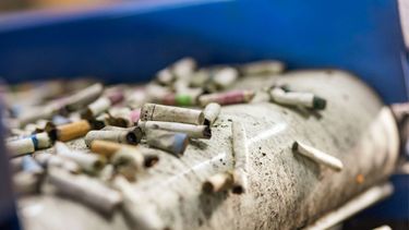 Una sola colilla tiene el potencial de contaminar entre 50 y 1.000 litros de agua. El reciclaje es fundamental para el medio ambiente y la biodiversidad.