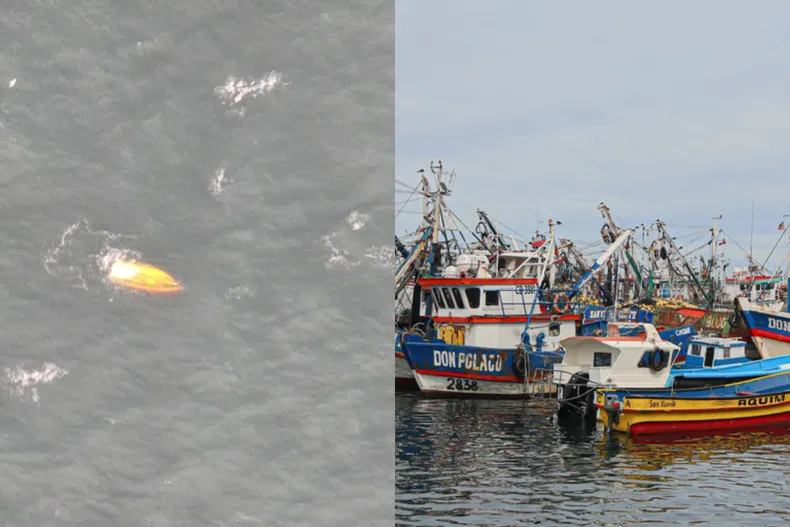 17562 diseno sin titulo 2025 06 16t184511.webp