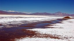 La lucha colla por salvar el Salar de Maricunga ante industria del litio