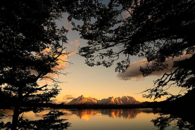 Imagen sobre la ecología, perspectiva desde un bosque de las Torres del Paine / Agencia Uno