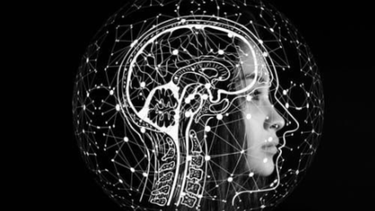 El cerebro celebra su día con avances en la adaptación social de los neurodivergentes