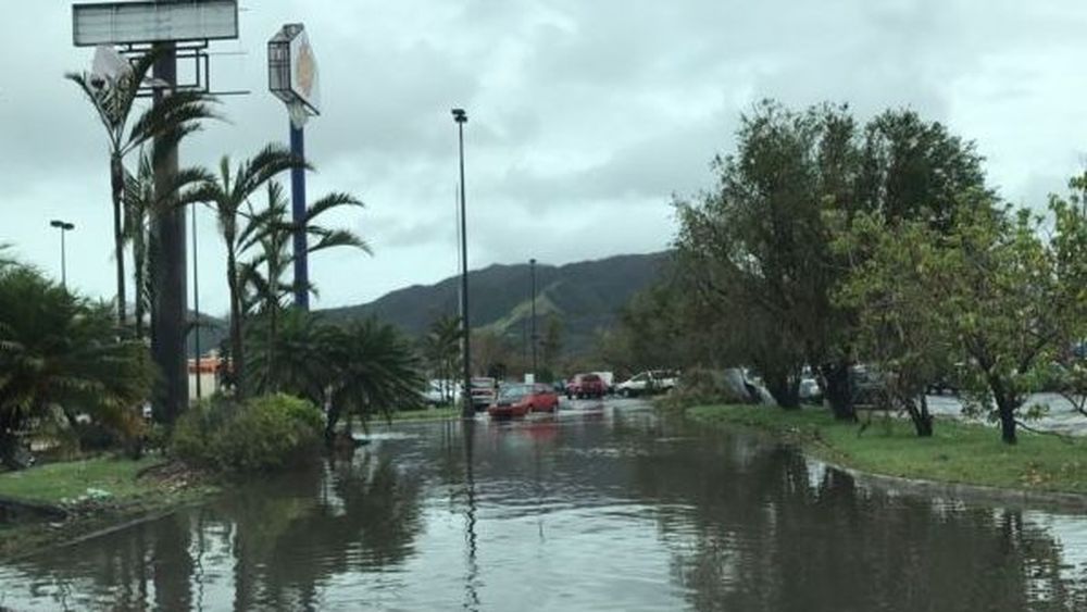 Número de muertos por Huracán María en Puerto Rico fue 70 veces superior al establecido por cifras oficiales