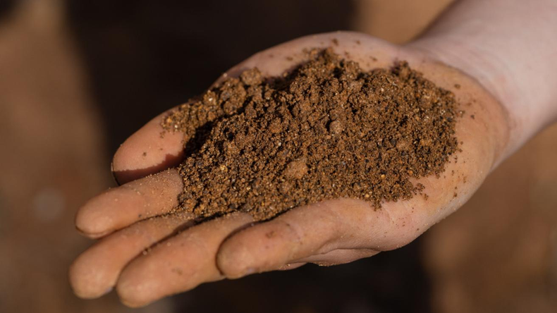 Coeva aprueba proyecto minero de extracción de tierras raras en Penco, pese a críticas de comunidades y municipios.&nbsp;