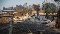 Notarias anuncian gratuidad de trámites en beneficio de afectados por incendios