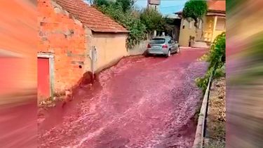 VIDEO| “Trágica” inundación en Portugal: Millones de litros de vino tinto recorren las calles