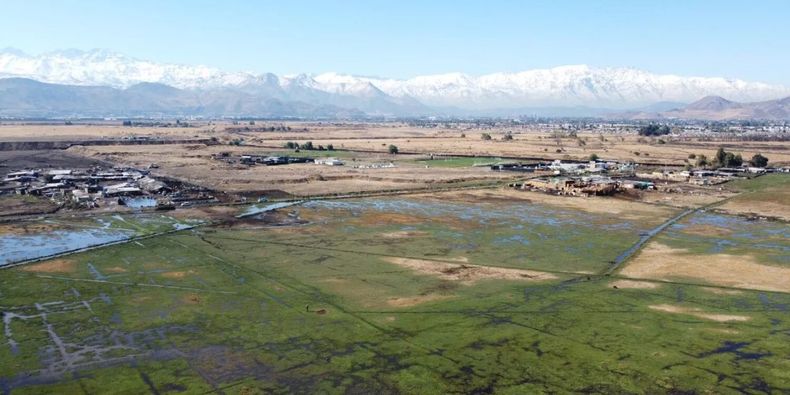 Diseño sin título (38)