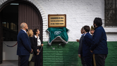 10 mil funcionarios se desplegarán en las 13 comisarías temporales: Una de ellas en Parque OHiggins