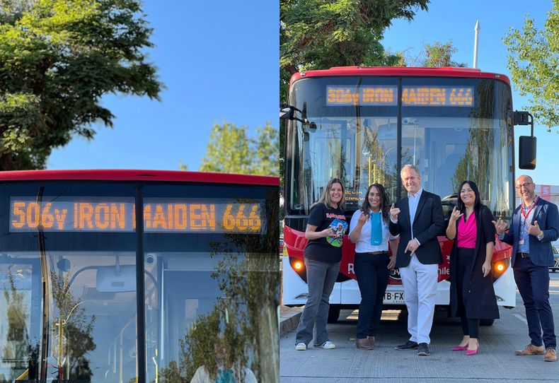 7954 maiden micro.jpg