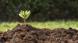 Chile avanza en la actualización de sus planes de adaptación al cambio climático