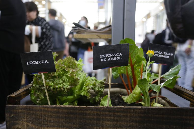 EXPO CHILE AGRICOLA.jpg