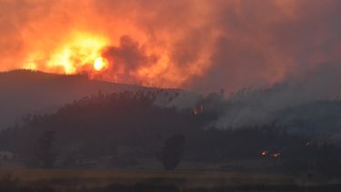 Senapred eleva a 26 la cifra de fallecidos producto de los incendios forestales en Chile
