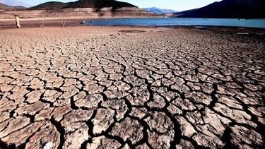 Emergencia climática no aplana su curva: En 2020 vivimos el segundo marzo más cálido de la historia