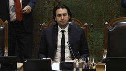 Partidos más fuertes y Congreso actualizado: Propuestas de Mirosevic ante la Comisión Experta
