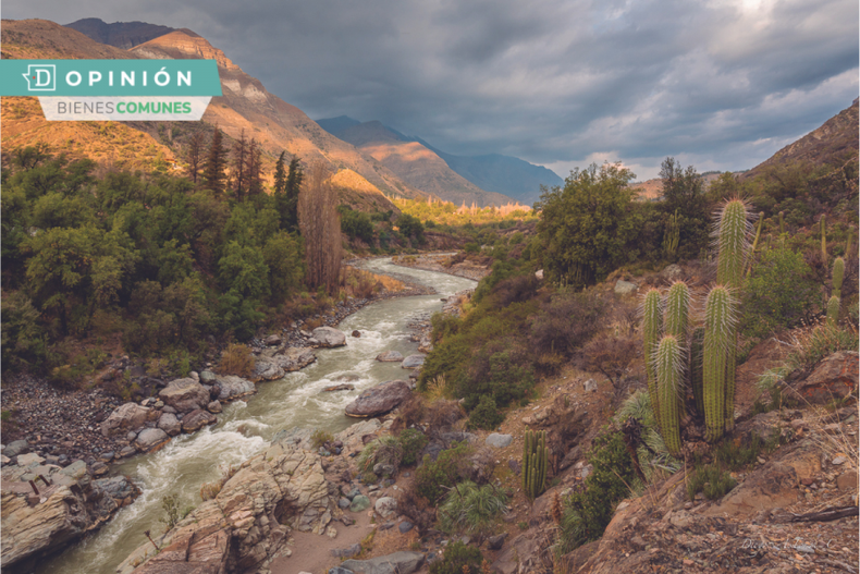 Areas protegidas BC e1700169576362.png