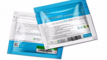 Uruguay comenzó la venta de marihuana legal en farmacias con gran afluencia de público