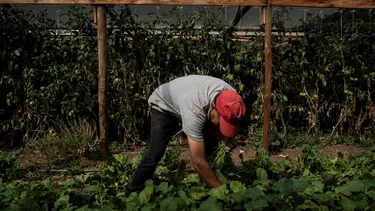 Economía chilena crece 3,2% en septiembre: Comercio y servicio factores en mejora del Imacec