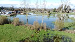 Lluvias dejan campos y plantaciones inundadas por suelos saturados de agua - Agencia Uno