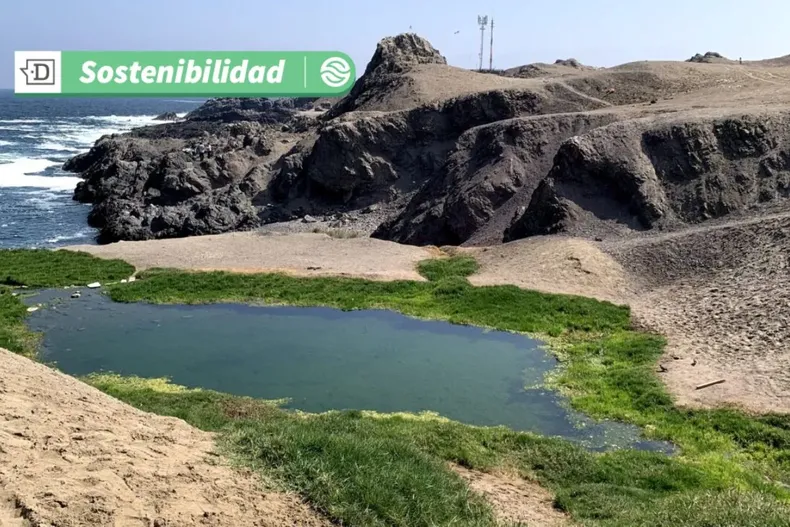 17171 diseno sin titulo 2025 06 10t104400.webp