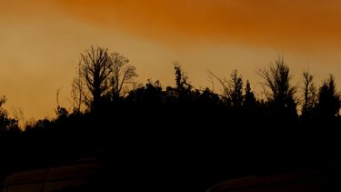 Incendios forestales: Base de la Conaf se instalará en comuna de Padre Hurtado