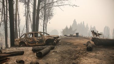 Diputados UDI impulsan comisión investigadora por gestión del Gobierno en incendios