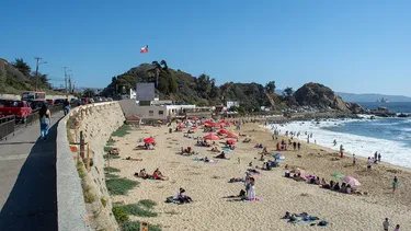 Regeneración de Las Salinas: Concluye la primera fase del proyecto que avanza en la descontaminación en Viña del Mar