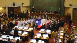 Con votos del PS a los Republicanos: Ley Nan-Retamal es aprobada por la Cámara de Diputados