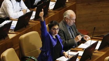 Feminista, bisexual, matrón y rechazaría el porno: Esas son las definiciones de Karol Cariola si fuese hombre