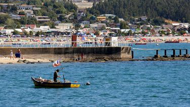 Juan Santibáñez mantiene su cargo en Subpesca y no integra equipo de Jeannette Jara